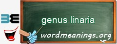 WordMeaning blackboard for genus linaria